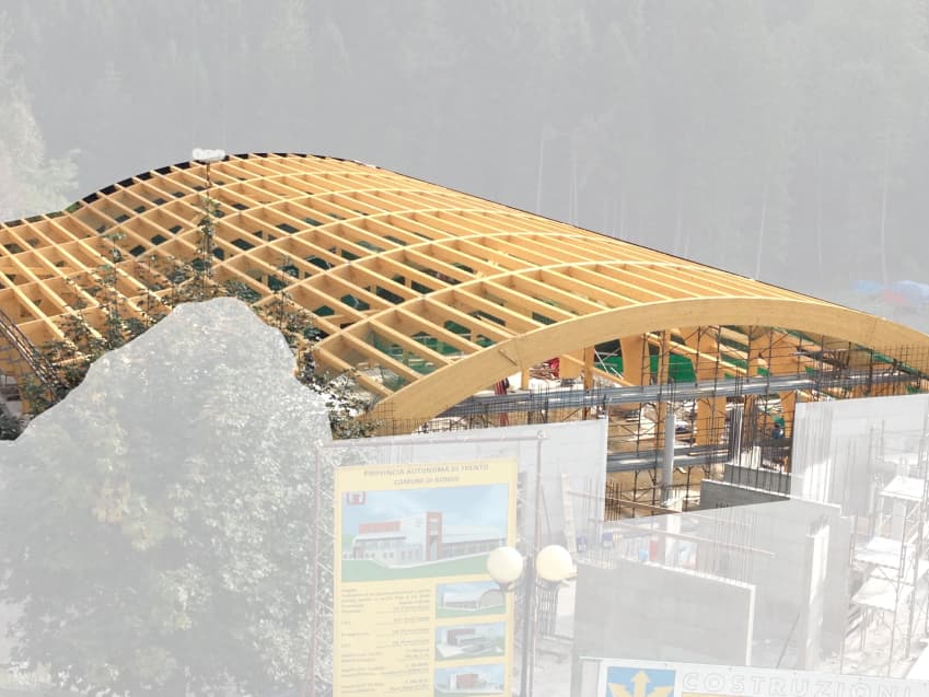tetti in legno